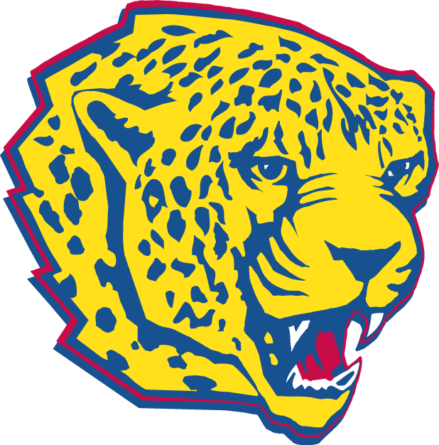 South Alabama Jaguars 1997-2007 Partial Logo iron on transfers for fabric